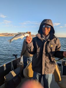 A serene day on the water, with a proud angler showcasing their latest catch against the stunning mountainous backdrop.