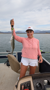 Nice striped bass on light tackle today! Jigging and trolling produced results in partly cloudy conditions.