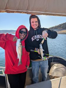 Two striped bass caught in AZ