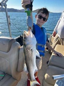 A striped bass being held by a person in Morristown