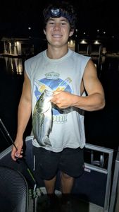Striped bass catch from fishing trip in Morristown AZ