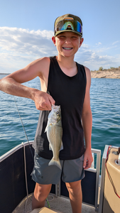 Striped Bass success with light tackle in partly cloudy Morristown!
