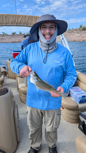 Reeling in a striped bass on a clear day in Morristown!
