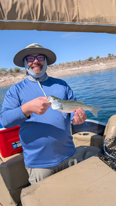 Reeling in a 12-inch Striped Bass on a clear day in Arizona!