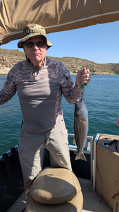 Reeling in a 12-inch Striped Bass with light tackle finesse!