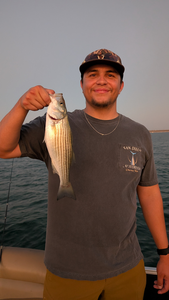 Reeling in a tasty Striped Bass on a crystal-clear day!