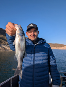 "Triumphant catch: A fisherman proudly displays their impressive haul in a picturesque lakeside setting."