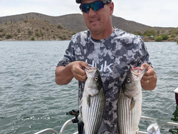 Two striped bass caught while fishing in AZ