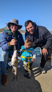 Lake Pleasant white catfish making the day worthwhile!