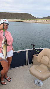 Nice white catfish using jigging and light tackle at Scorpion Bay Grill today!