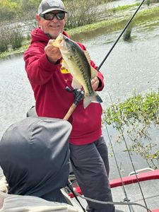 Big bass alert! Largemouth beauty landed. 