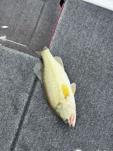 Fishing in TX, best great outdoor adventure