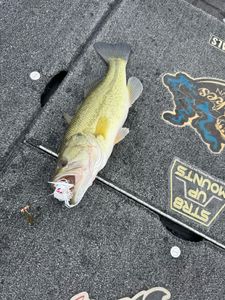 A great fishing trip in TX