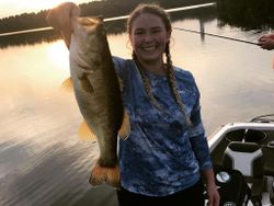 Largemouth Bass caught in Alba