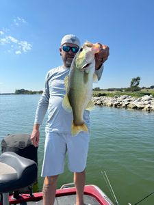 Largemouth bass caught in the waters of Alba