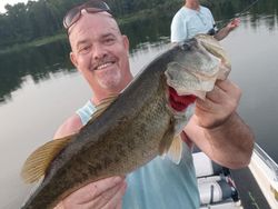 Largemouth bass caught while fishing in Alba
