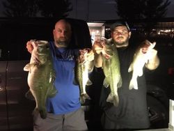 Four large bass caught in Alba during fishing trip