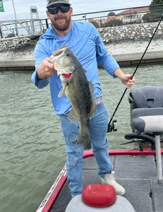 Image of a largemouth bass caught in Alba