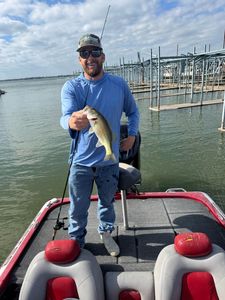 Largemouth Bass fish caught in Alba location