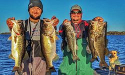 5 largemouth bass caught while fishing in Alba