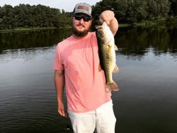 A largemouth bass caught fishing in TX