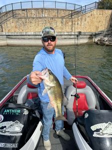 Largemouth Bass caught in TX