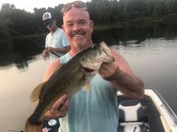 Largemouth bass caught in TX