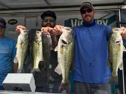 5 largemouth bass caught while fishing in Alba