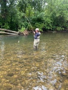 Person fishing in Arlington