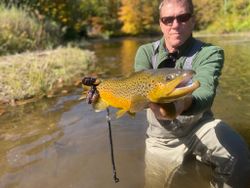 Angler catching a rainbow trout in Arlington