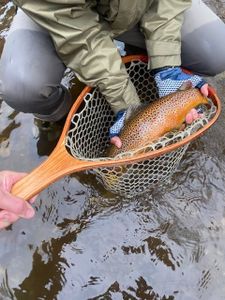 A fishing trip in Arlington