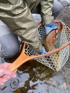 Great fishing at unknown location
