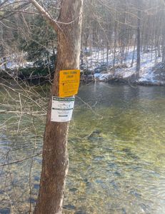 Fishing in Arlington