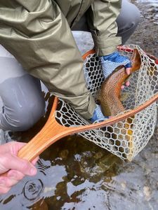 Fishing in VT
