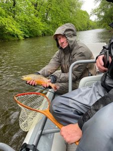 One person fishing in Arlington