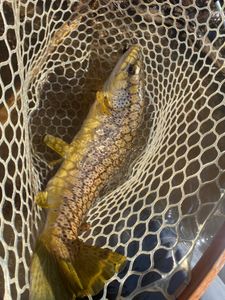 A person fishing in Vermont