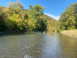 Fishing in Arlington