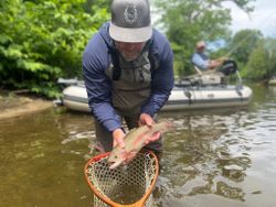 Fishing in Arlington
