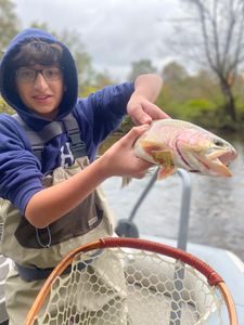 A person fishing in Arlington