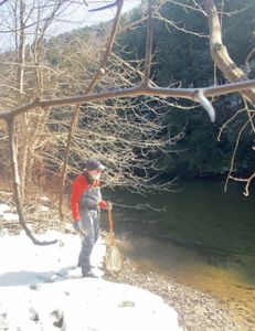 Fishing in Arlington