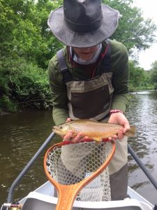 One fishing capture in Arlington