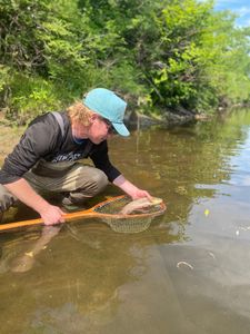 Fishing in Arlington