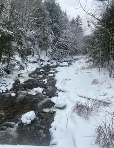 Scenic landscape in VT