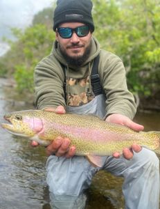 Angler catches a rainbow trout in Vermont
