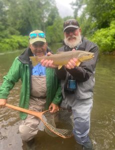 A rainbow trout caught in Arlington