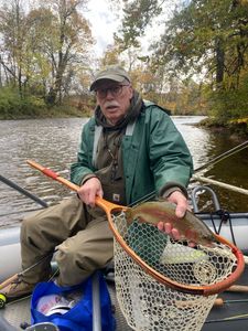 Photograph of a single rainbow trout caught while fishing