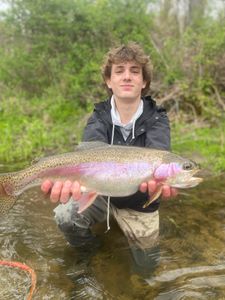 Rainbow Trout caught while fishing in Vermont