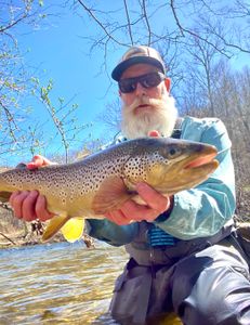 Impressive rainbow trout caught in VT