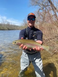 A rainbow trout fish caught in VT