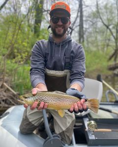 Angler holding 17-inch sea trout in Arlington